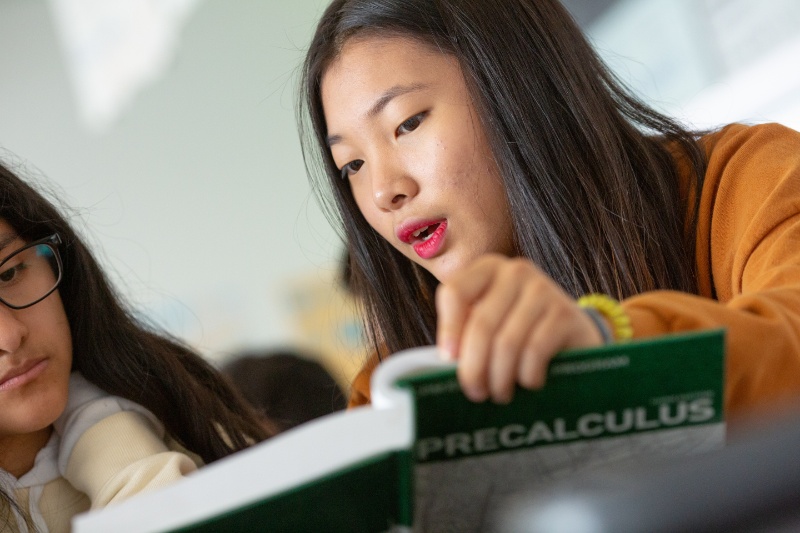 students working from a precalculus book